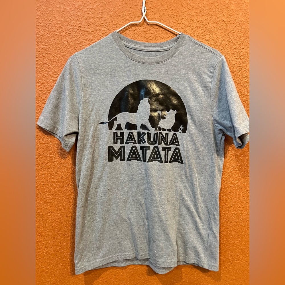 Wonder Nation brand t-shirt with Hakuna Matata, kids size XXL (18).